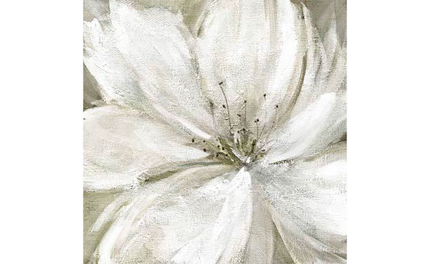 Fiore bianco canvas ritoccato a mano 80x80 cm---Canvas-80 cmx80 cm Fiore bianco canvas ritoccato a mano 80x80 cm---Canvas-80 cmx80 cm