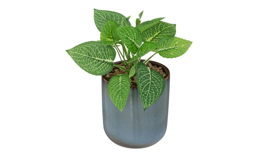 Pianta verde in vaso gres blu Ø9 cm--Verde-Polietilene Pianta verde in vaso gres blu Ø9 cm--Verde-Polietilene