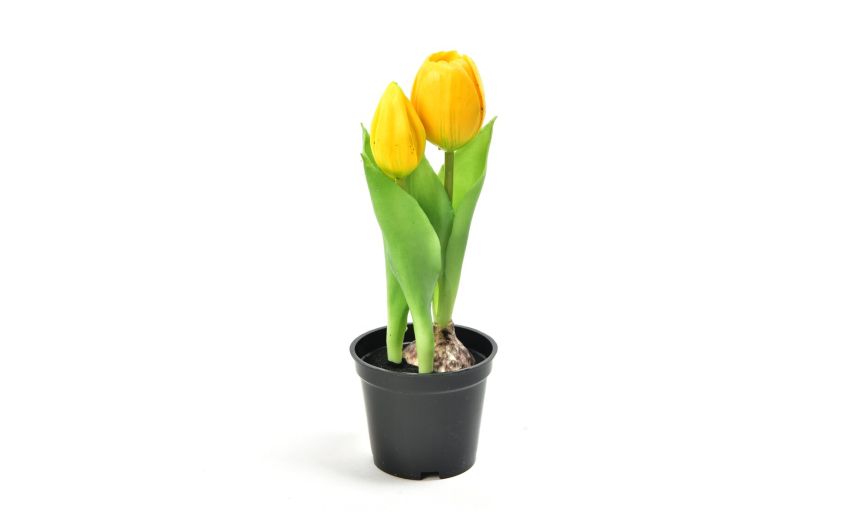 Tulipano giallo in gomma in vaso h21 cm--Giallo-Gomma Tulipano giallo in gomma in vaso h21 cm--Giallo-Gomma