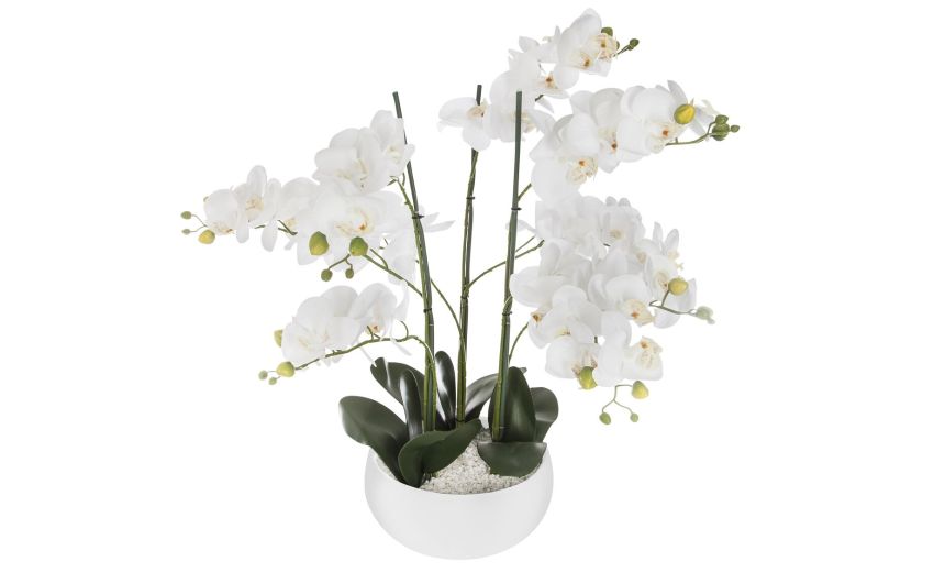 Orchid pianta artificiale con vaso in ceramica- -Bianco-Polietilene