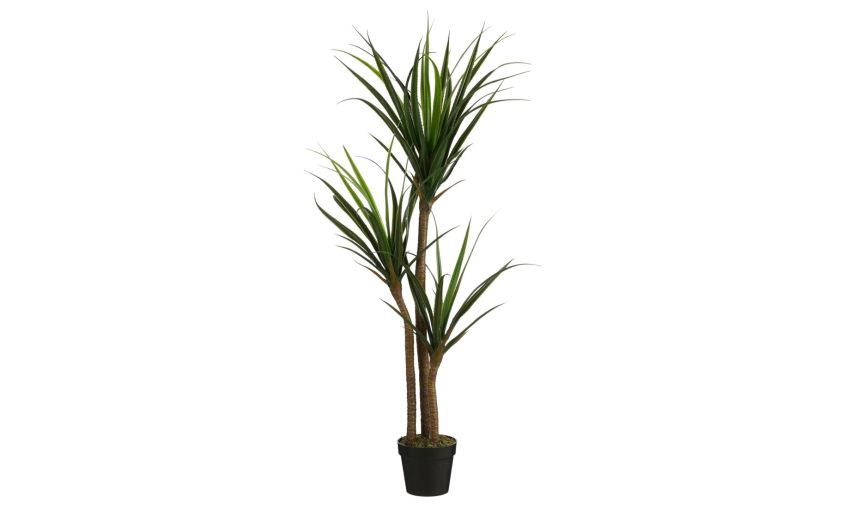 Pandanus con vaso h150 cm--Verde-Poliestere Pandanus con vaso h150 cm--Verde-Poliestere