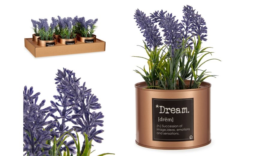 Lavanda piantina con barattolo rame h18 cm--Rame Lavanda piantina con barattolo rame h18 cm--Rame