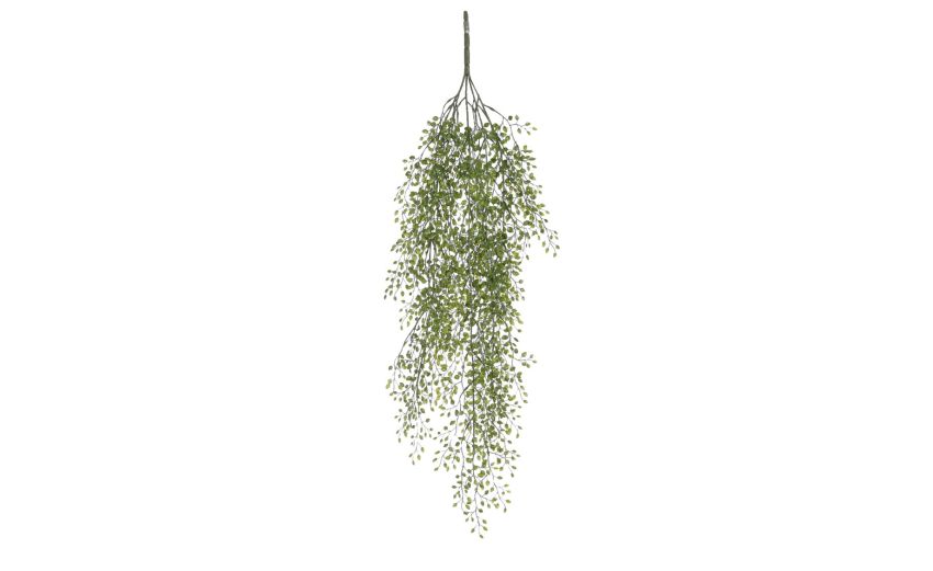 Jasmine verde sospesa --Verde--81 cmx12 cm Jasmine verde sospesa --Verde--81 cmx12 cm