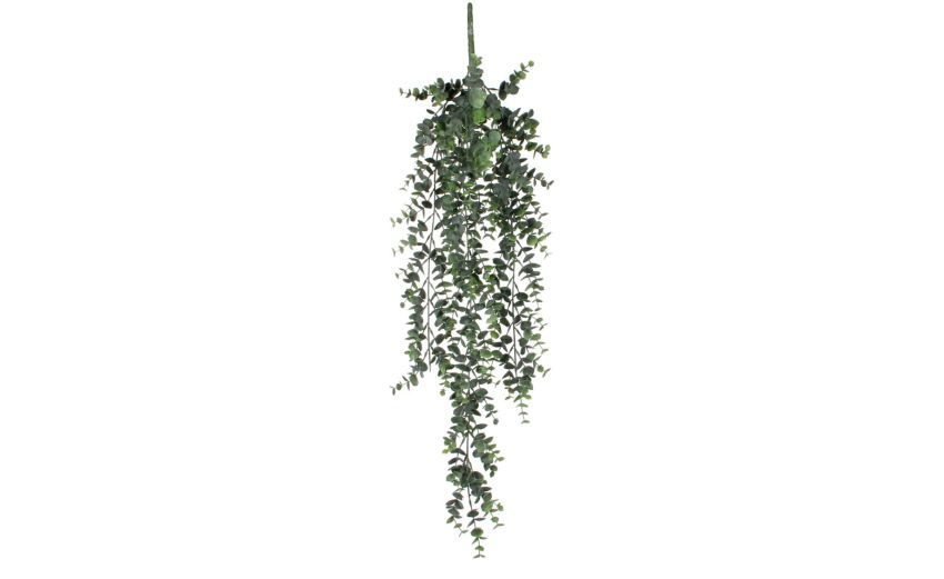 Eucalyptus verde sospeso--Verde--5 cmx78 cm Eucalyptus verde sospeso--Verde--5 cmx78 cm