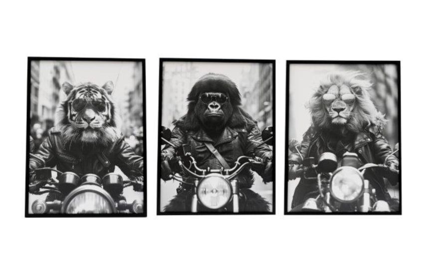 Quadro animali in moto 60x45 cm--Bianco-Tela-60 cmx45 cm Quadro animali in moto 60x45 cm--Bianco-Tela-60 cmx45 cm