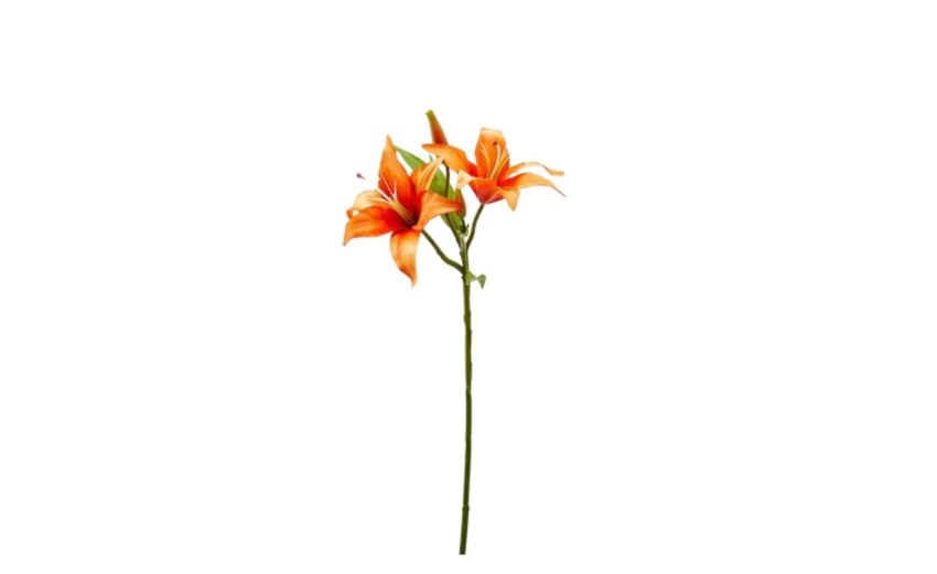 Lilium ramo con 2 fiori arancioni h66--Arancione-Plastica Lilium ramo con 2 fiori arancioni h66--Arancione-Plastica