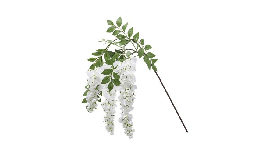 Glicine ramo bianco x3 h100--Bianco-Plastica Glicine ramo bianco x3 h100--Bianco-Plastica