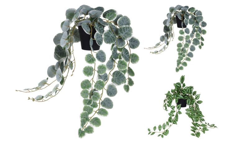 Ceropegia pianta artificiale con vaso H62 cm- -Verde-Polipropilene