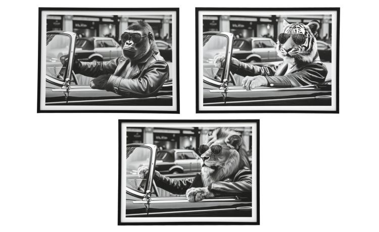 Quadro animali in macchina--Bianco-Tela-60 cmx45 cm