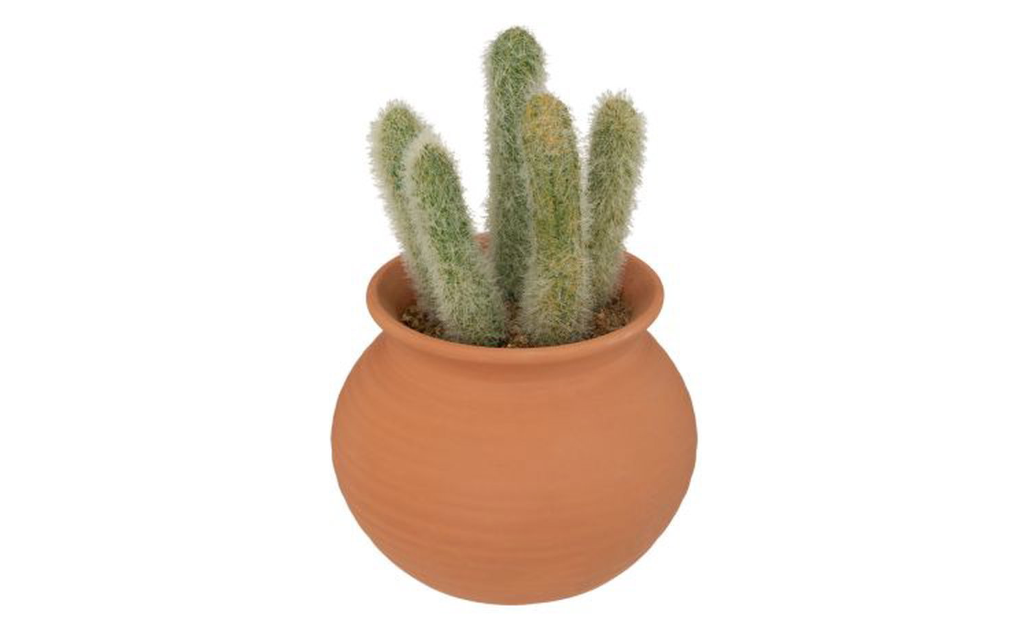 Cactus pianta artificiale vaso in terracotta