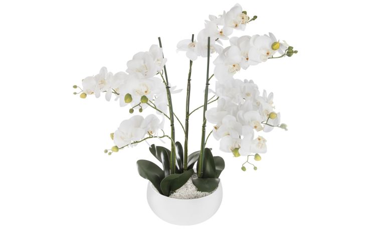 Orchid pianta artificiale con vaso in ceramica- -Bianco-Polietilene