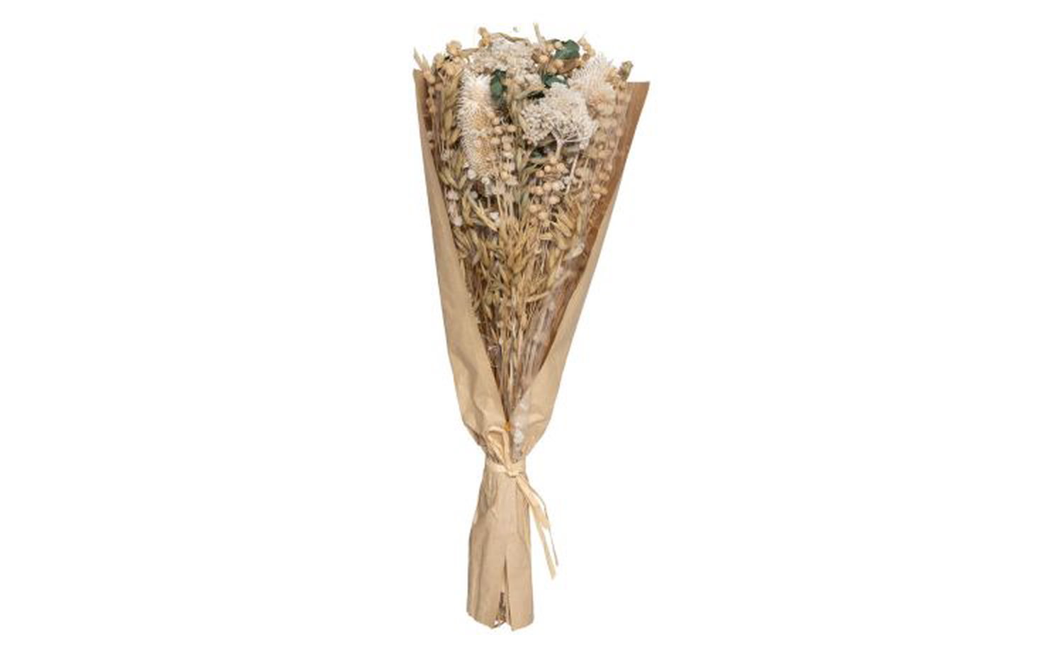 Chardon bouquet rami e fiori secchi H50 cm