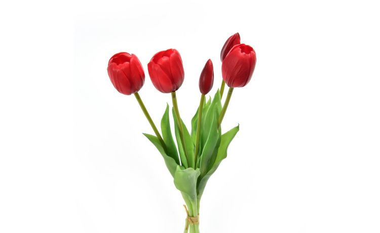Mazzo di 5 tulipani rossi h39 cm --Rosso-Gomma