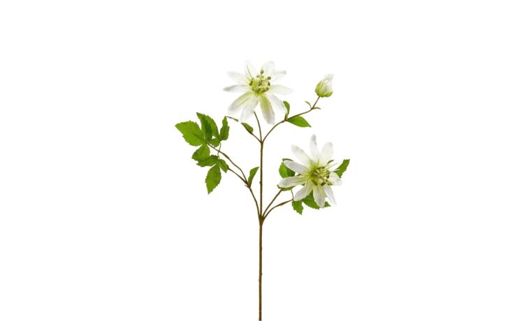 3 rami passiflora rex avorio h65 cm