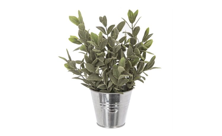 Pianta verde con vaso zincato h25 cm --Verde-Polietilene
