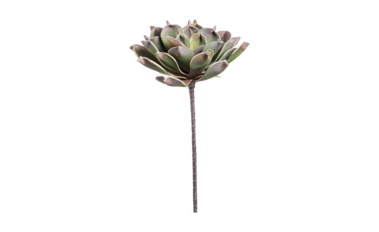 Echeveria ramo artificiale verde sfumato H60 cm