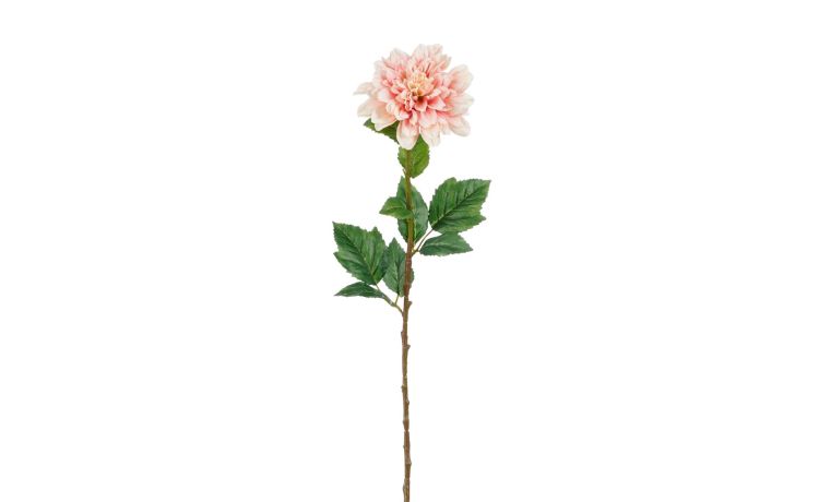 Dahlia rosa h75 cm--Rosa
