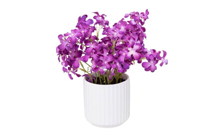 Violette pianta artificiale con vaso Ø22x27 cm- -Viola-Poliestere