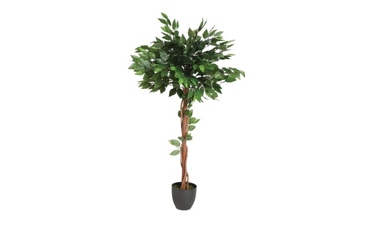 Pianta fictus h120 cm--Verde-Poliestere
