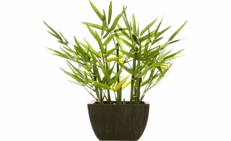 Bamboo pianta artificiale in vaso H35 cm