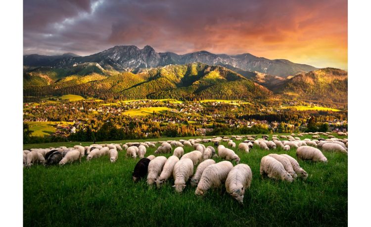 Zakopane canvas  70x100 cm---Canvas-70 cmx100 cm