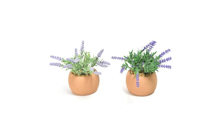 Lavanda pianta in vaso di cemento h16 cm--Verde-Plastica