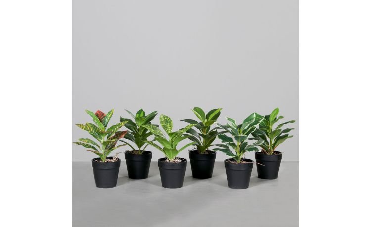 Vivian pianta artificiale con vaso H21 cm