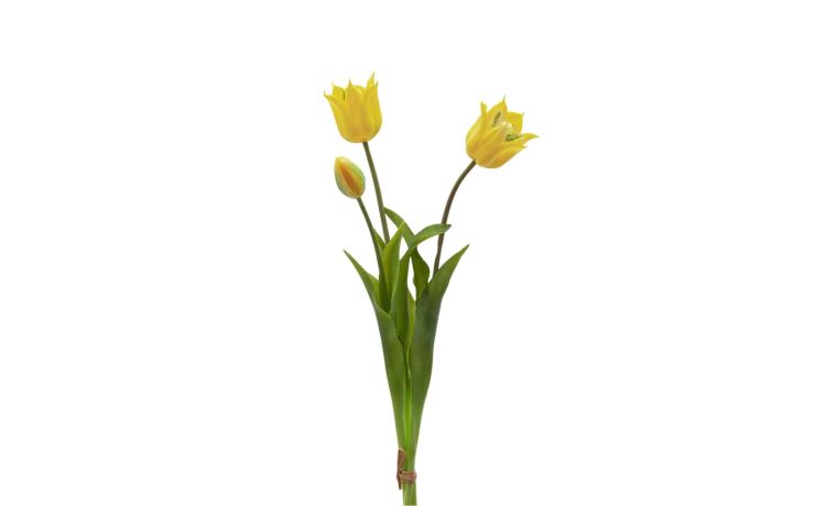 Mazzo 3 tulipani giallo h48--Giallo-Plastica