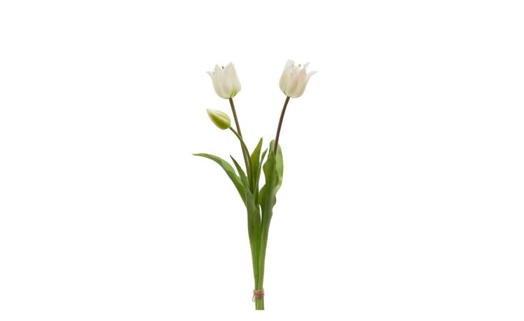 Mazzo 3 tulipani bianco h48 cm--Bianco-Plastica