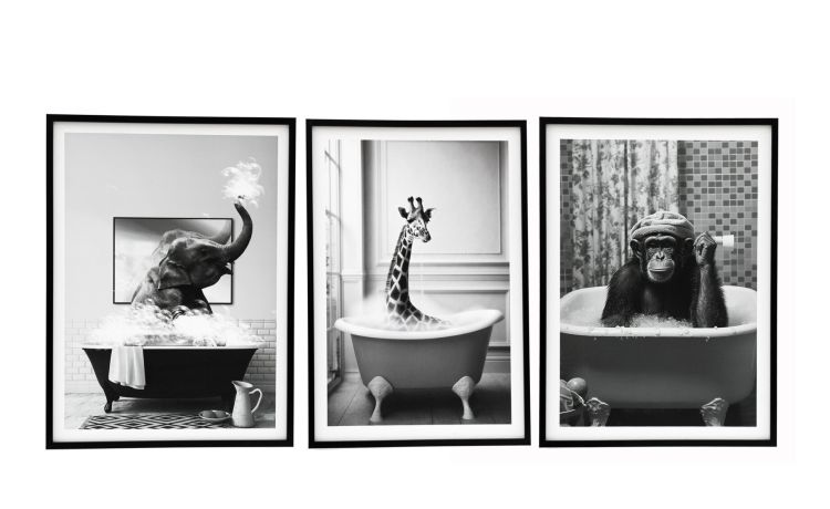 Quadro animali in bagno 60x45 cm--Bianco-Tela-60 cmx45 cm