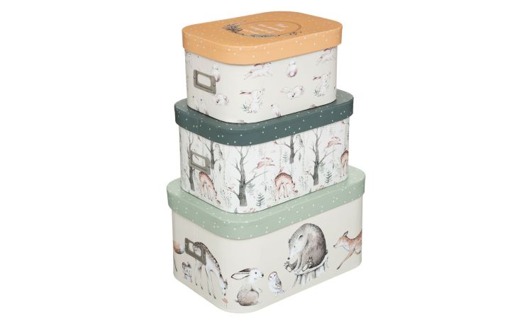 Animal scatola in cartone colorata 37x19 cm- -Multicolore-Cartone-19 cmx36