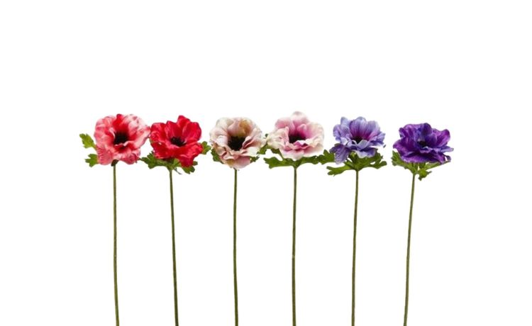Fiori anemone colori assortiti  h40--Multicolore-Plastica