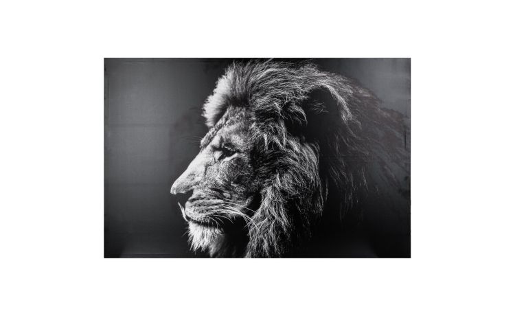 Lion canvas 78x118 cm--Nero-Mdf-78 cmx118 cm