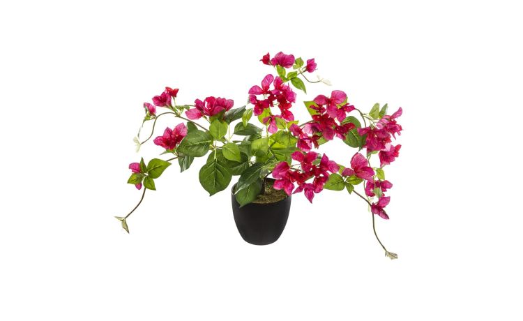 Pianta bouganville in vaso L76 cm---Poliestere